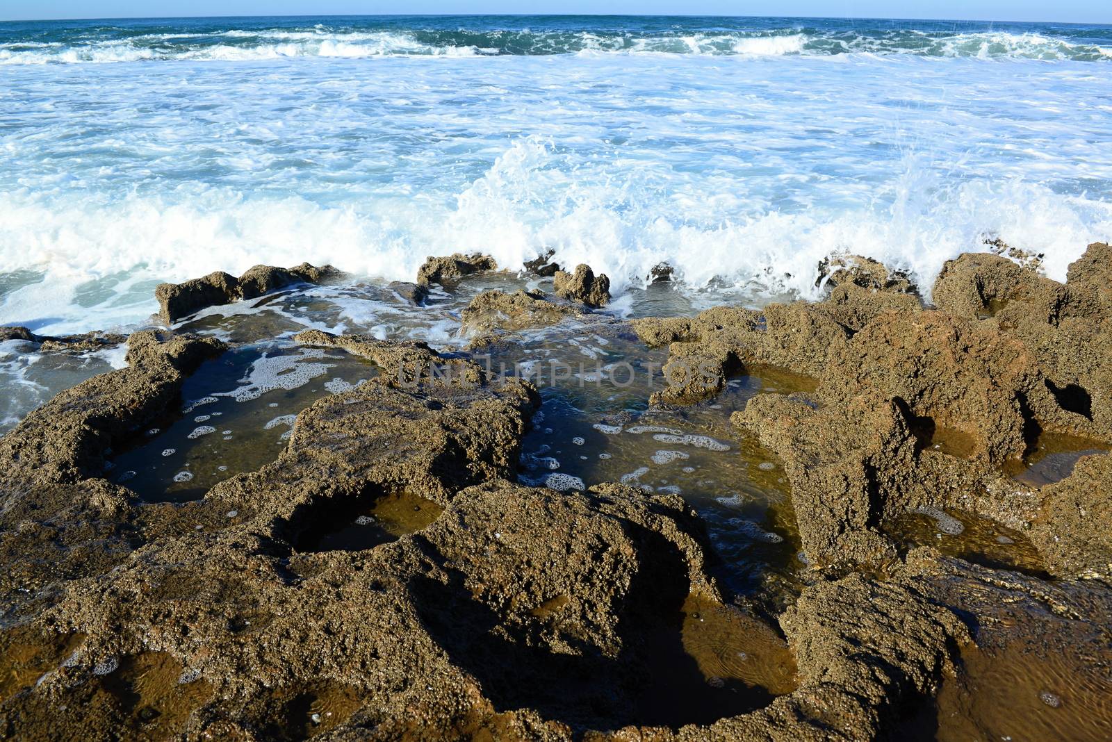 nice atlantic coast in Essaouira in Morocco