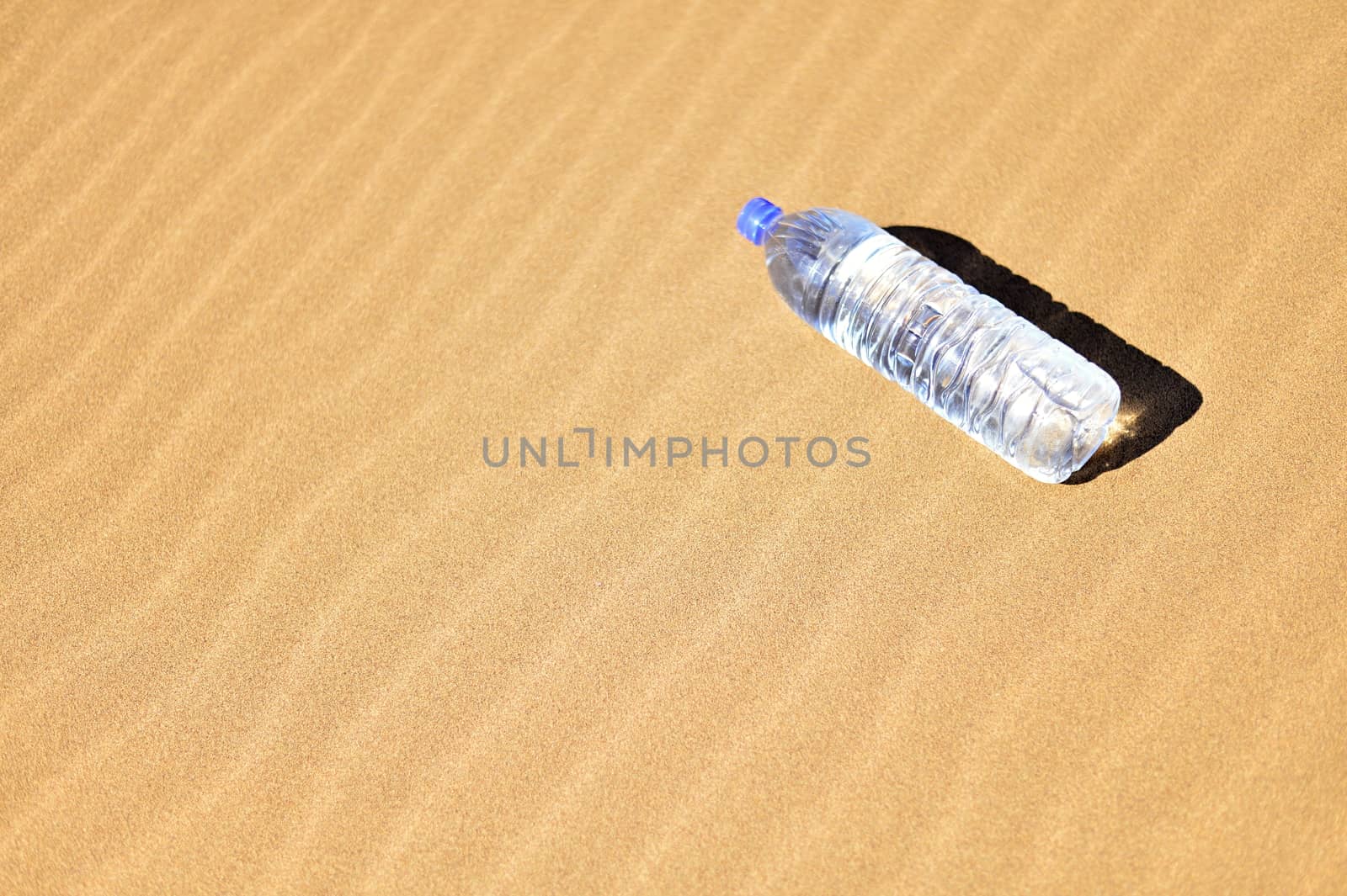 Bottle of water in Sahara