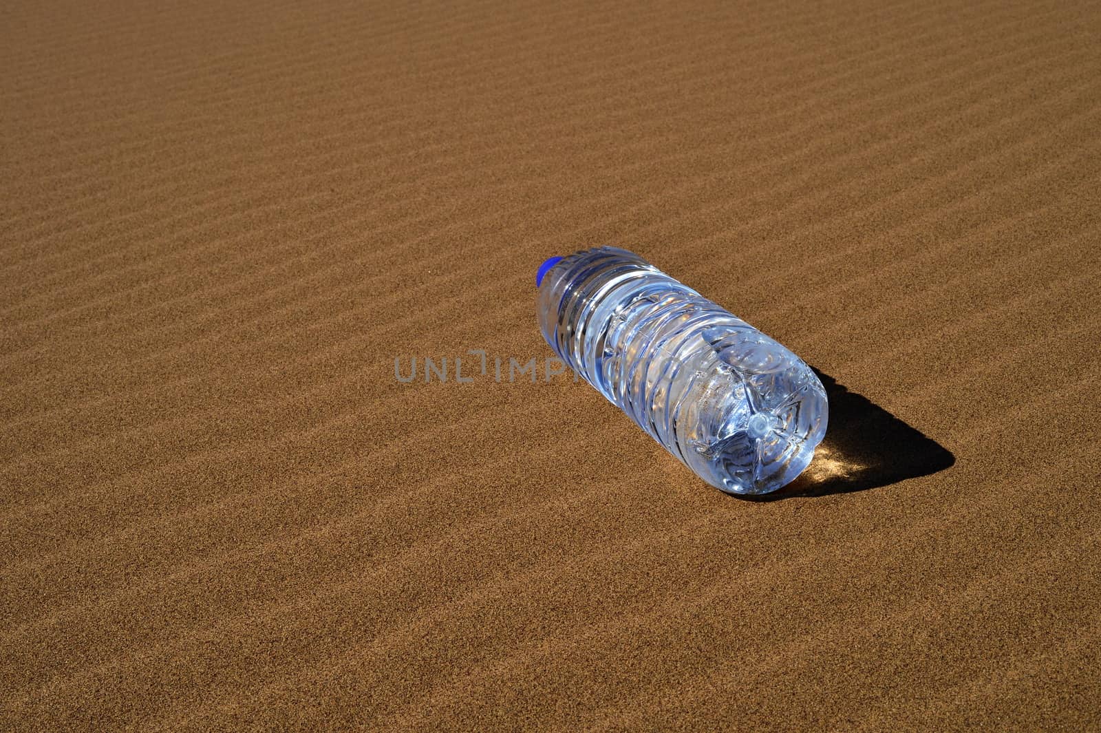 Bottle of water in Sahara