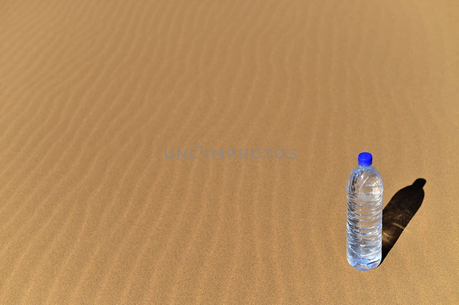 Bottle of water in Sahara