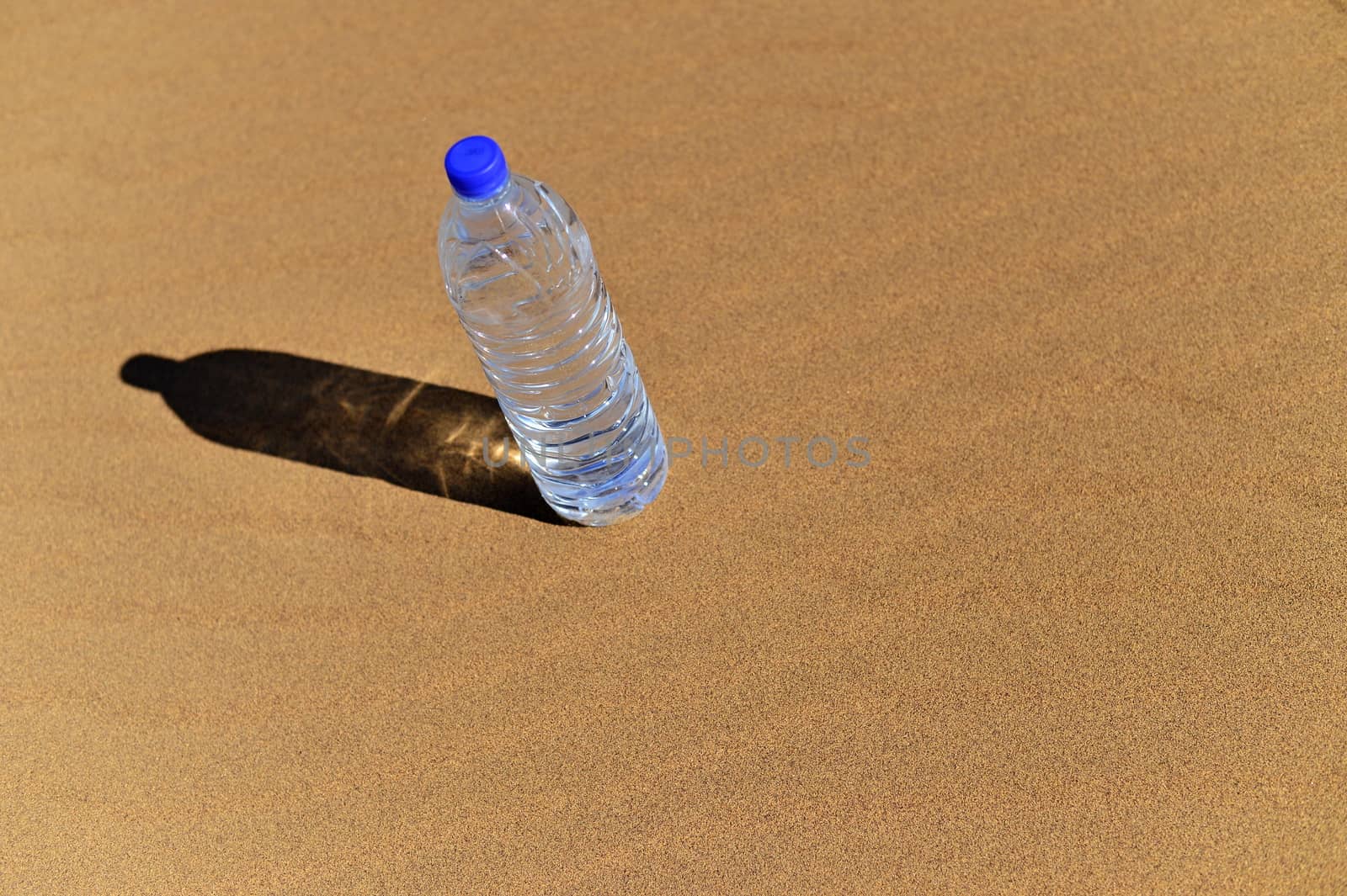 Bottle of water in Sahara