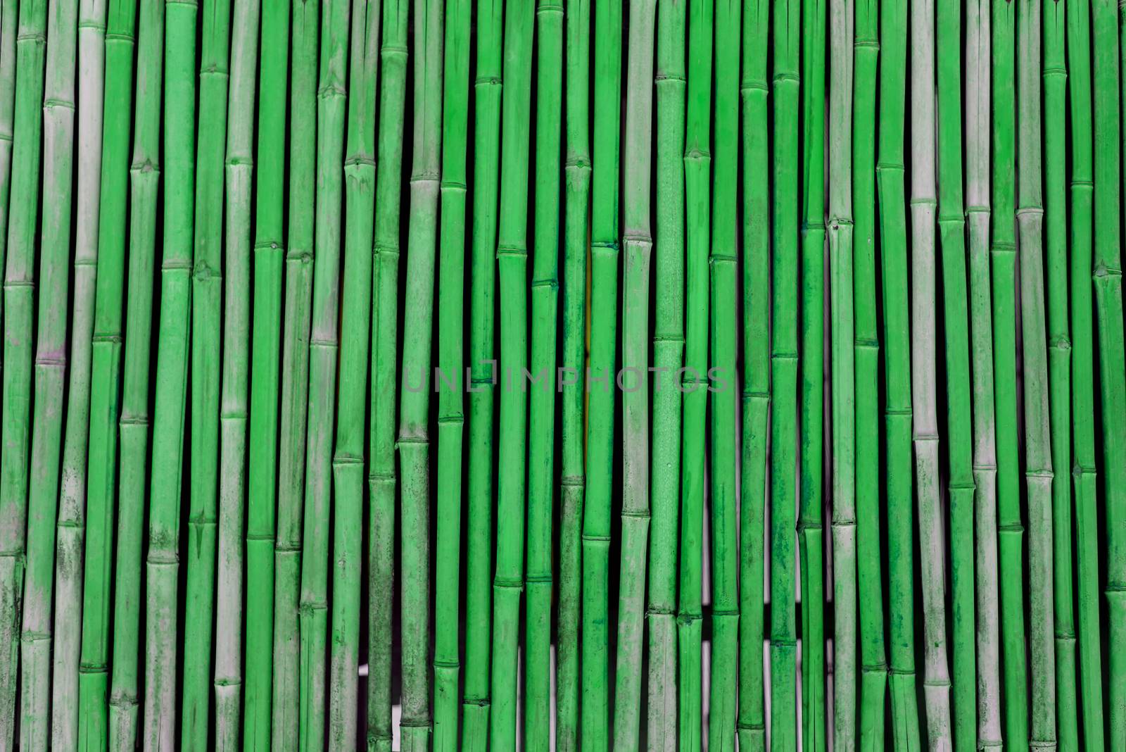 Green Bamboo background texture