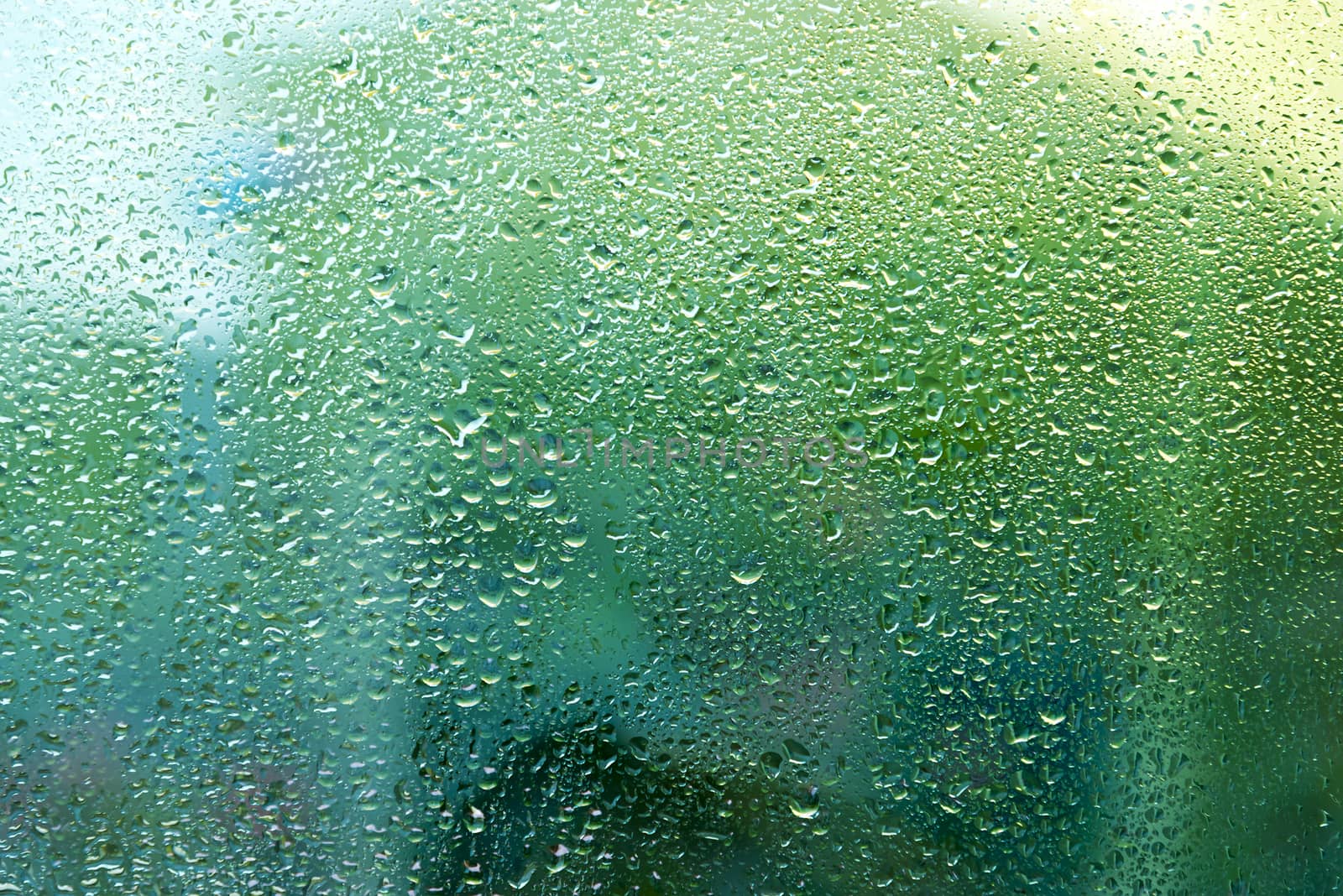 Green water drops background texture