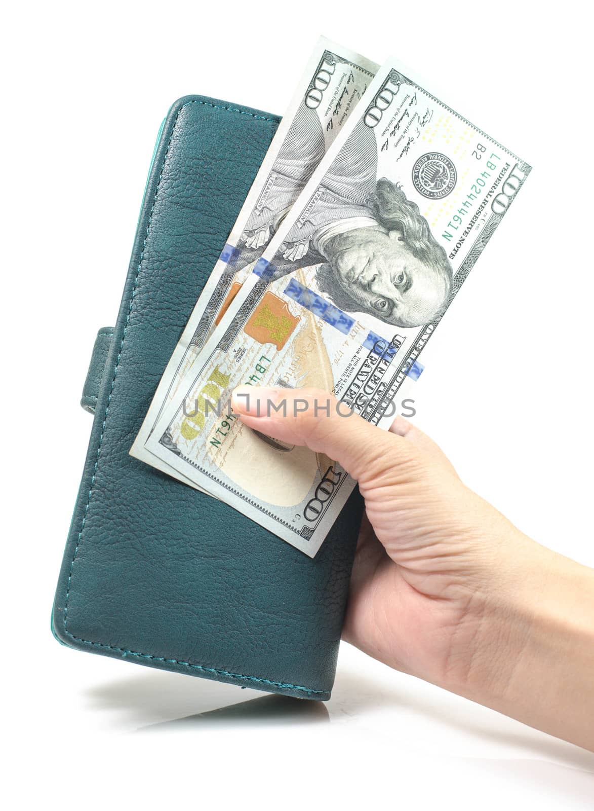 Woman Hand with wallet and USD Money dollar isolated