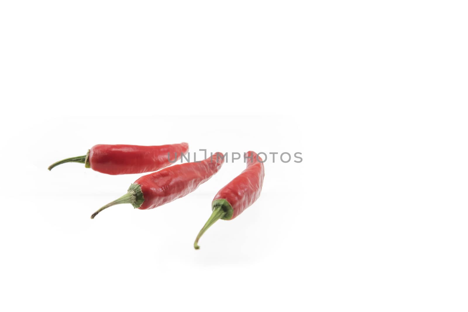 chili pepper isolated on a white background