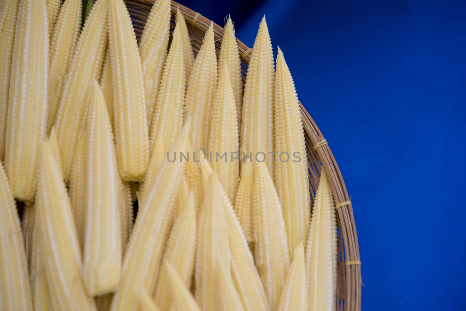 baby corn