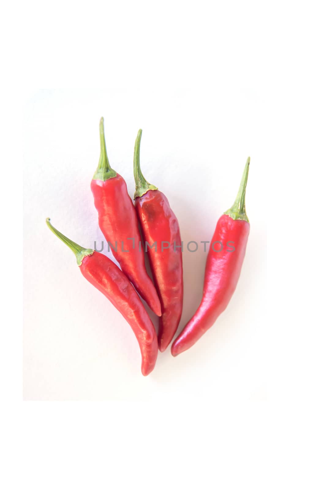 chili pepper isolated on a white background