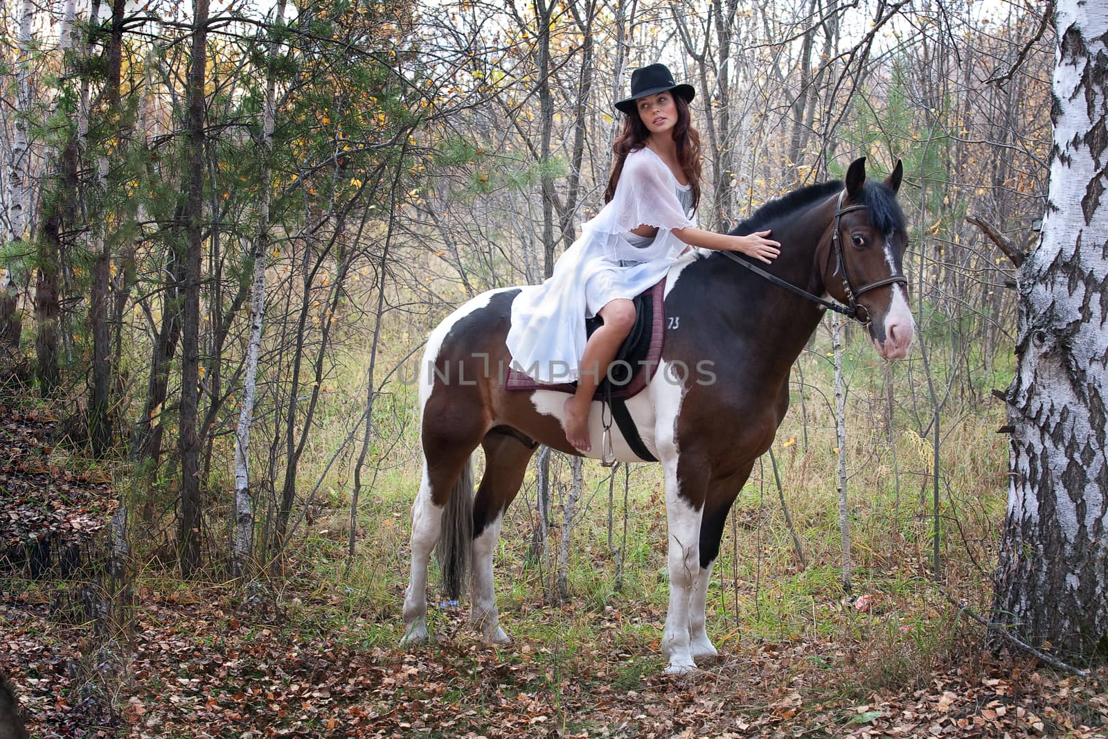 Young woman and horse in a forest