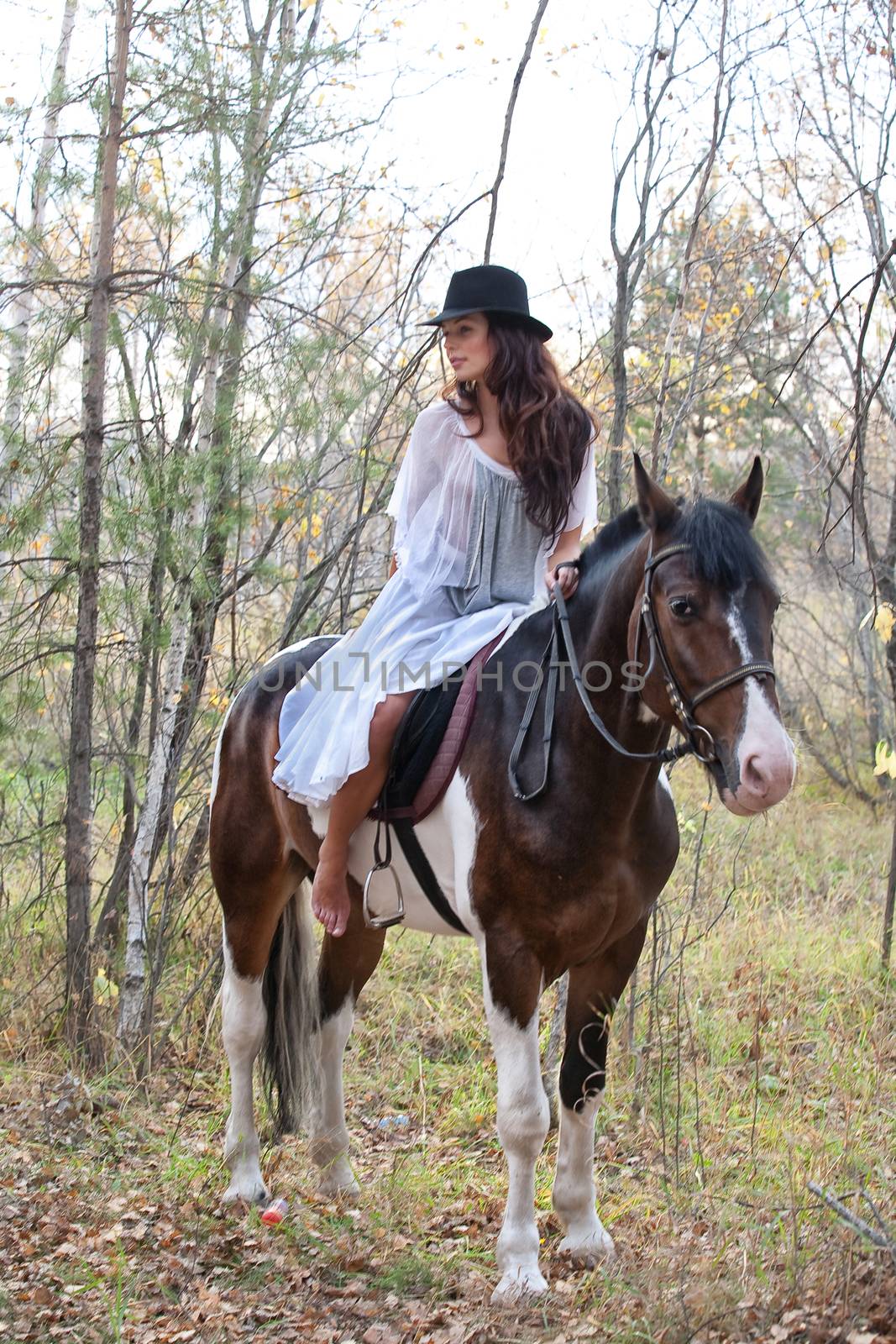 Young woman and horse in a forest