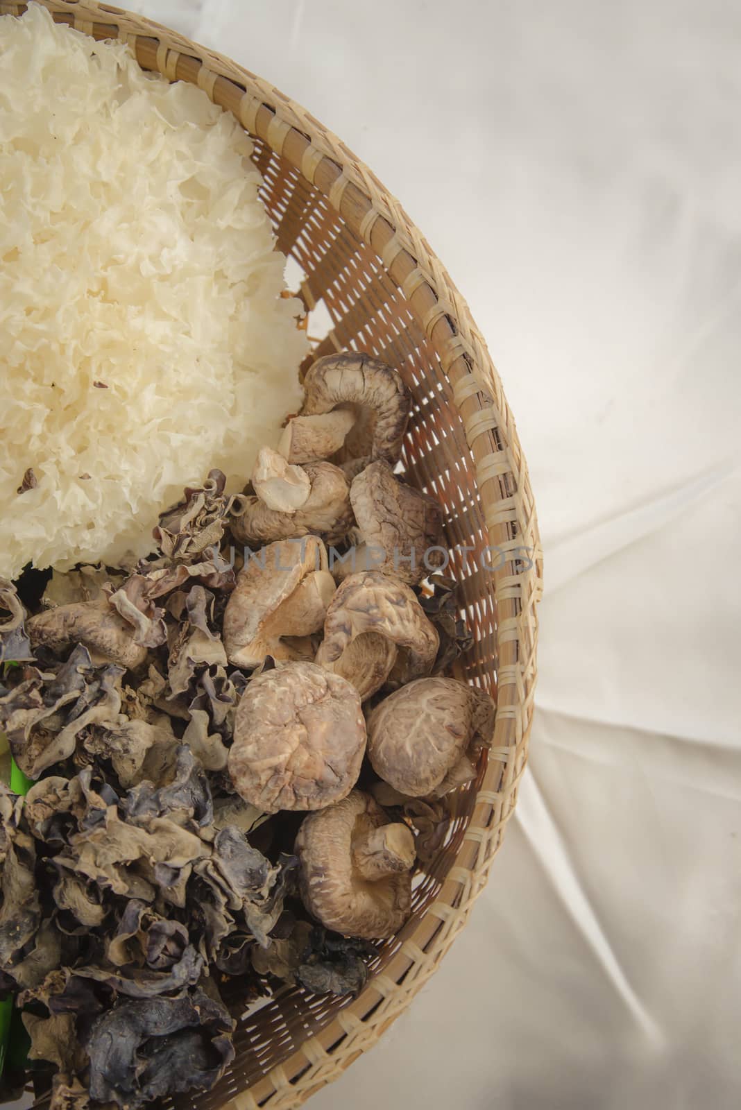 Dried shiitake mushroom by anatskwong