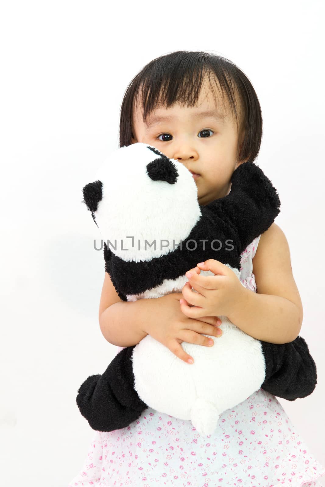 Chinese Little Girl Holding Panda Toy in plain white isolated background.