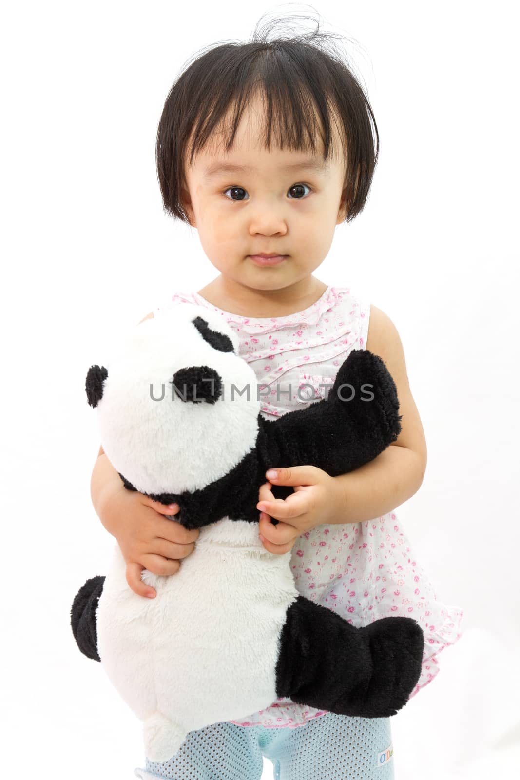 Chinese Little Girl Holding Panda Toy in plain white isolated background.
