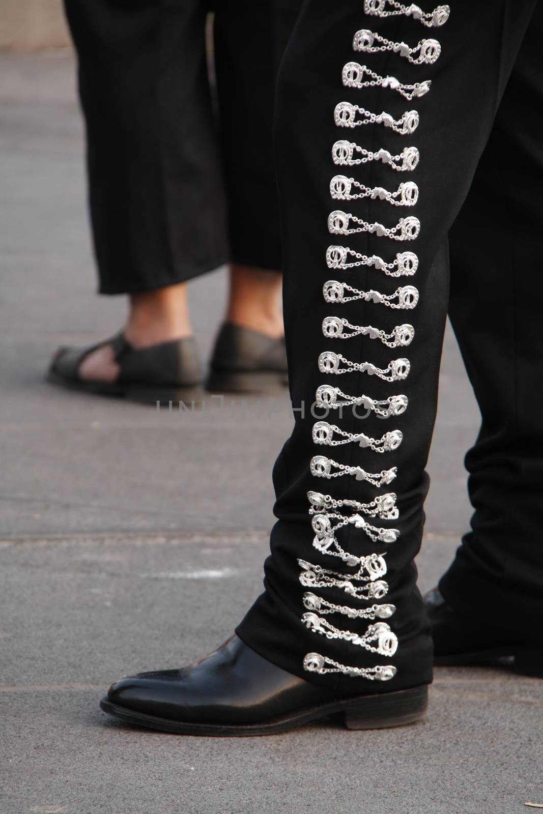 Details from a mariachi's dress