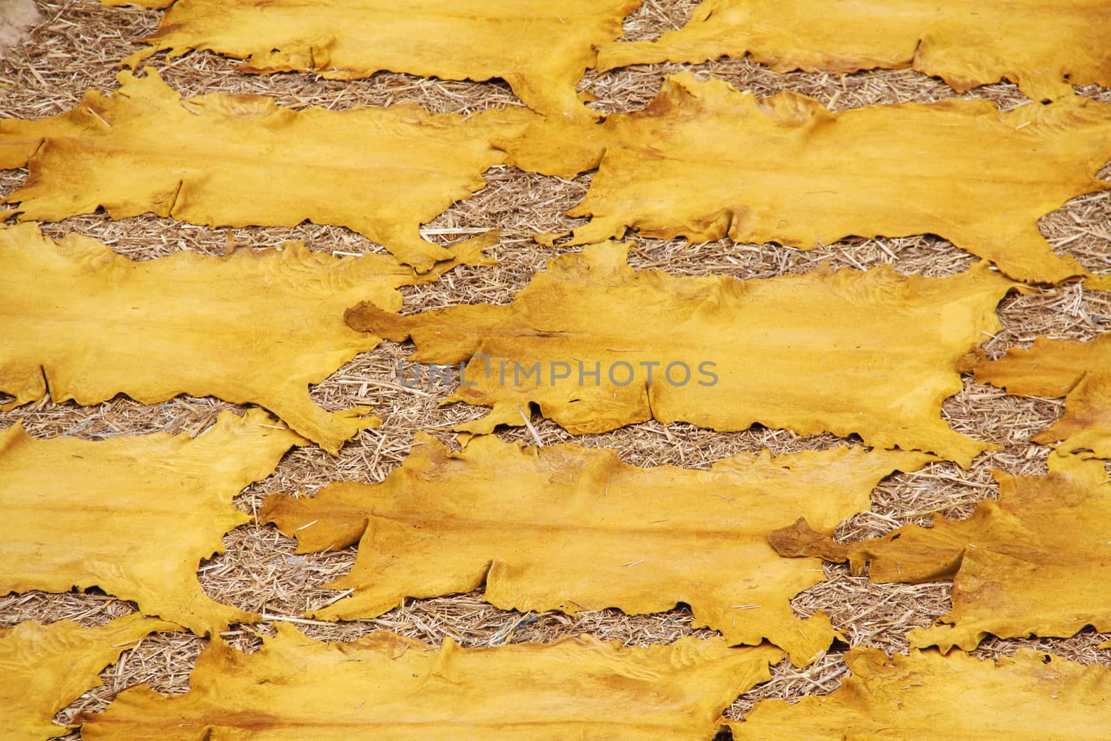 Orange leather on a rooftops of tanneries in Fes, Morocco