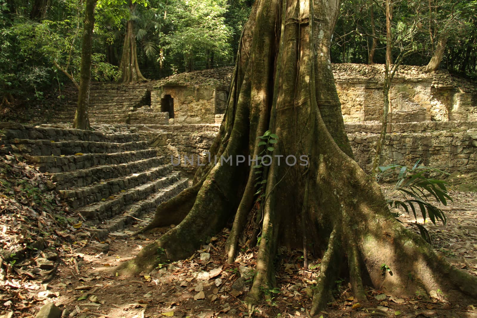 Mayan ruins in Palenque, Mexico