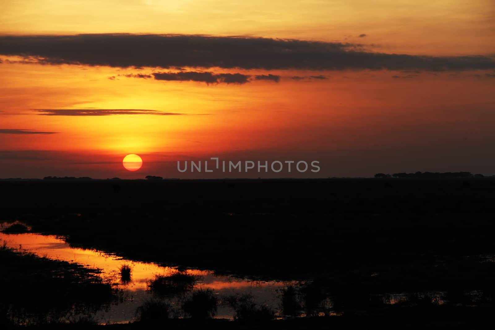 Sunset in Los Llanos tropical grassland in Venzuela