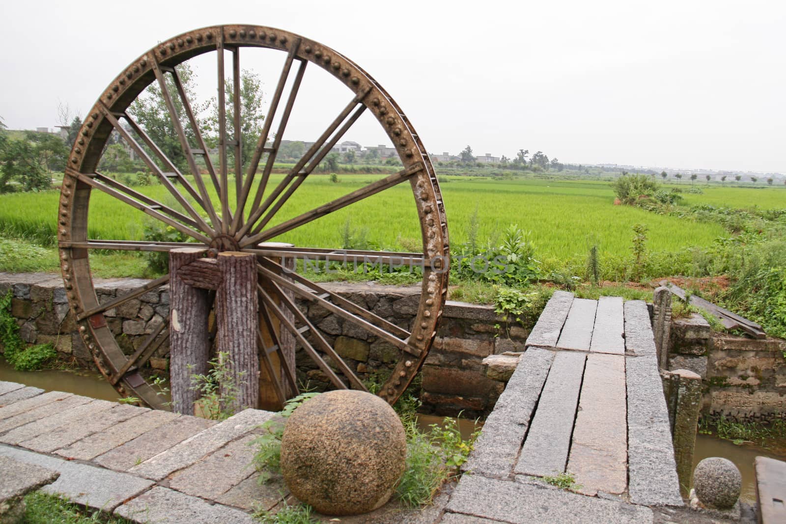 Water wheel on a rice field in rural China