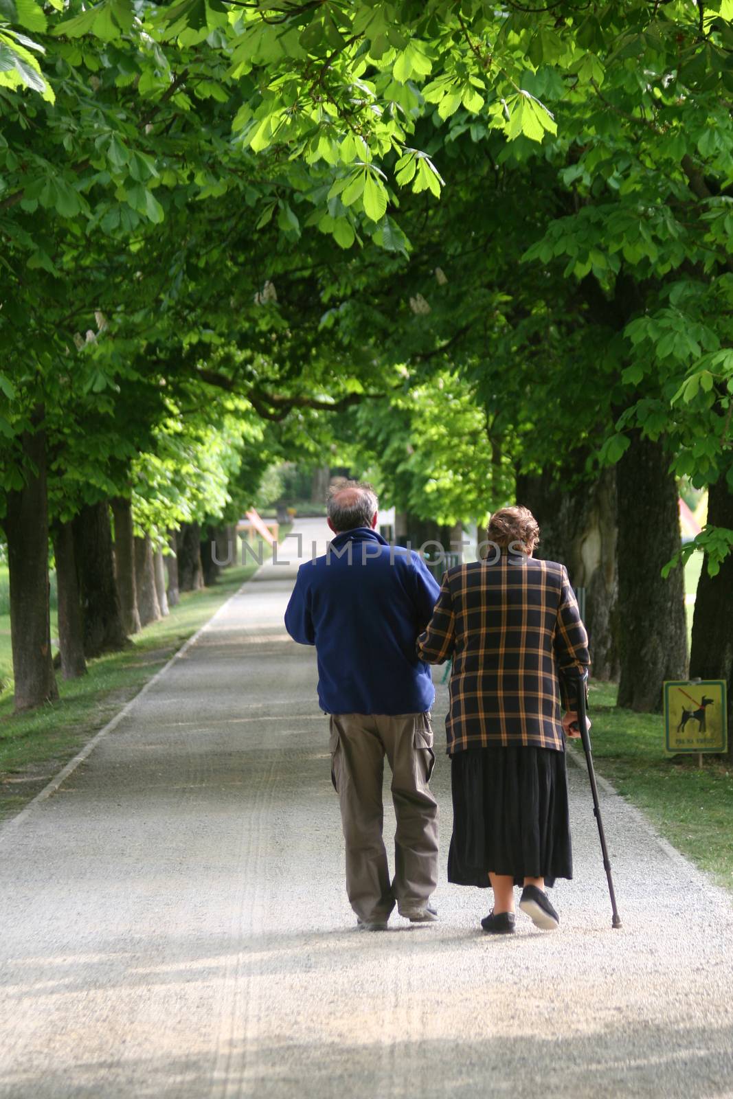 Senior couple walking in a green park