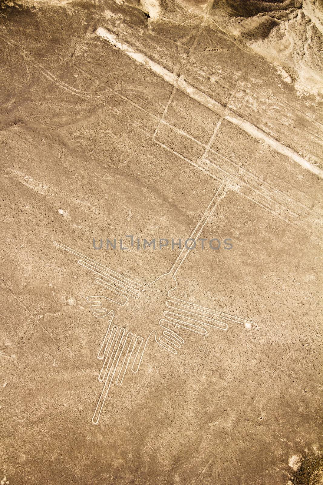 The Nazca Lines are a series of ancient geoglyphs located in the Nazca Desert in southern Peru. They were designated a UNESCO World Heritage Site. Nazca Lines were created by the Nazca culture between 400 and 650 CE.
