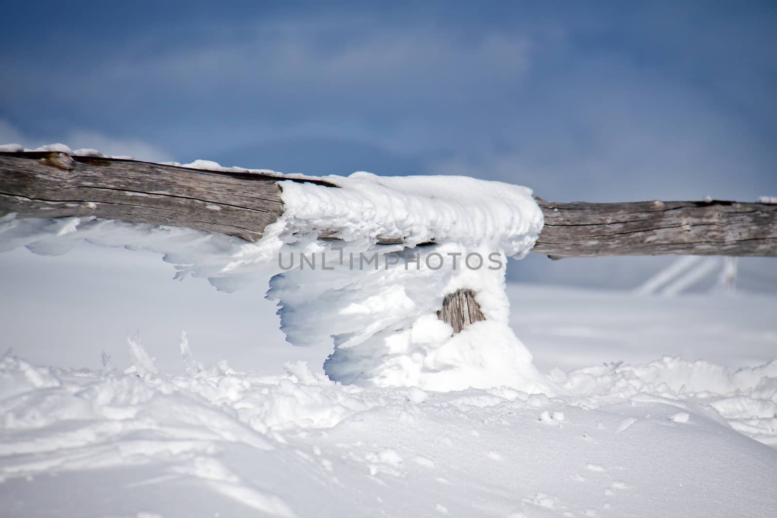 Snow on a fence