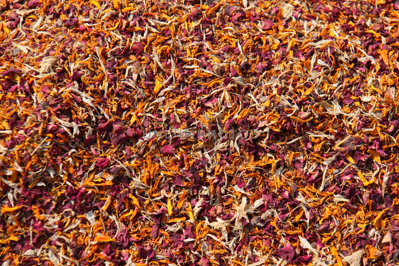 Dried flower leafs