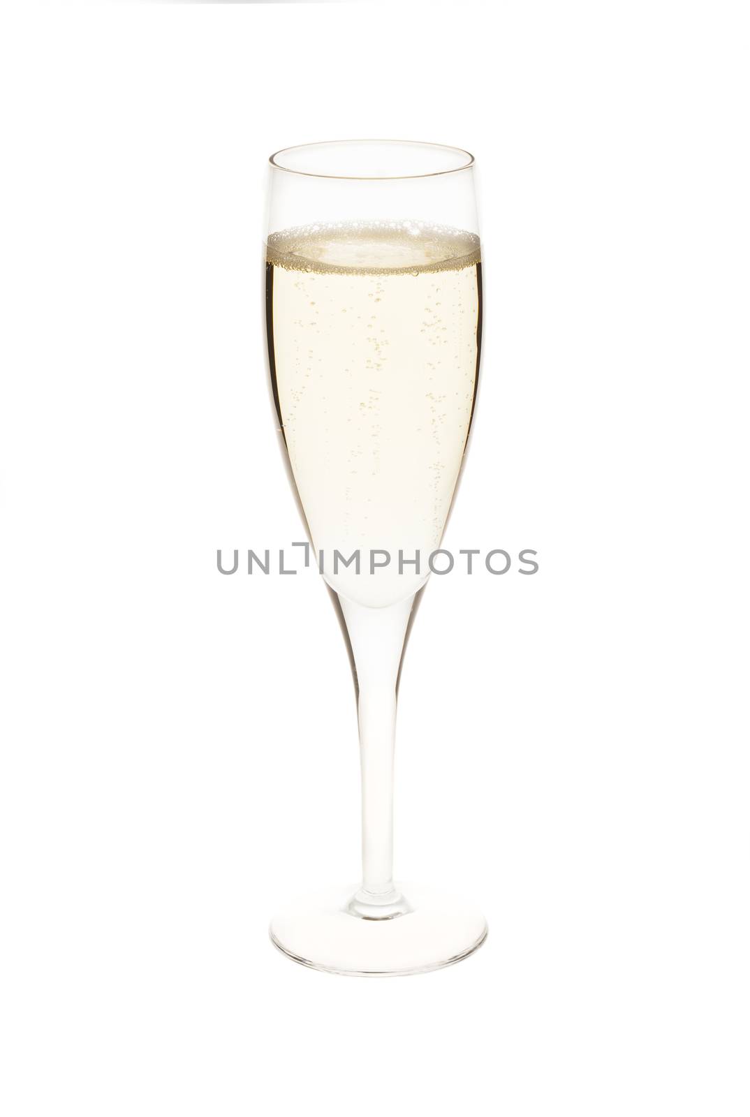Champagne by Aarstudio