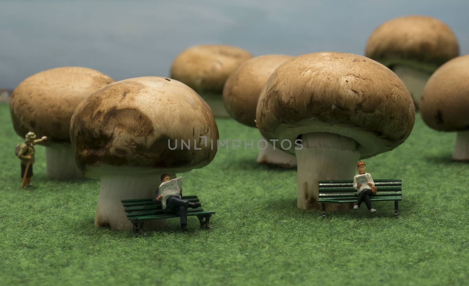 little people puppets sit on mushrooms in forest  by compuinfoto