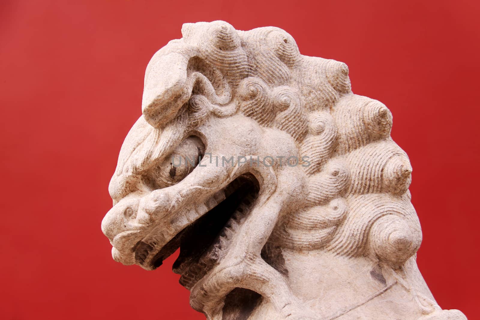 Lion on red background taken infront of an entrance on a garden of the Forbidden City in Beijing, China