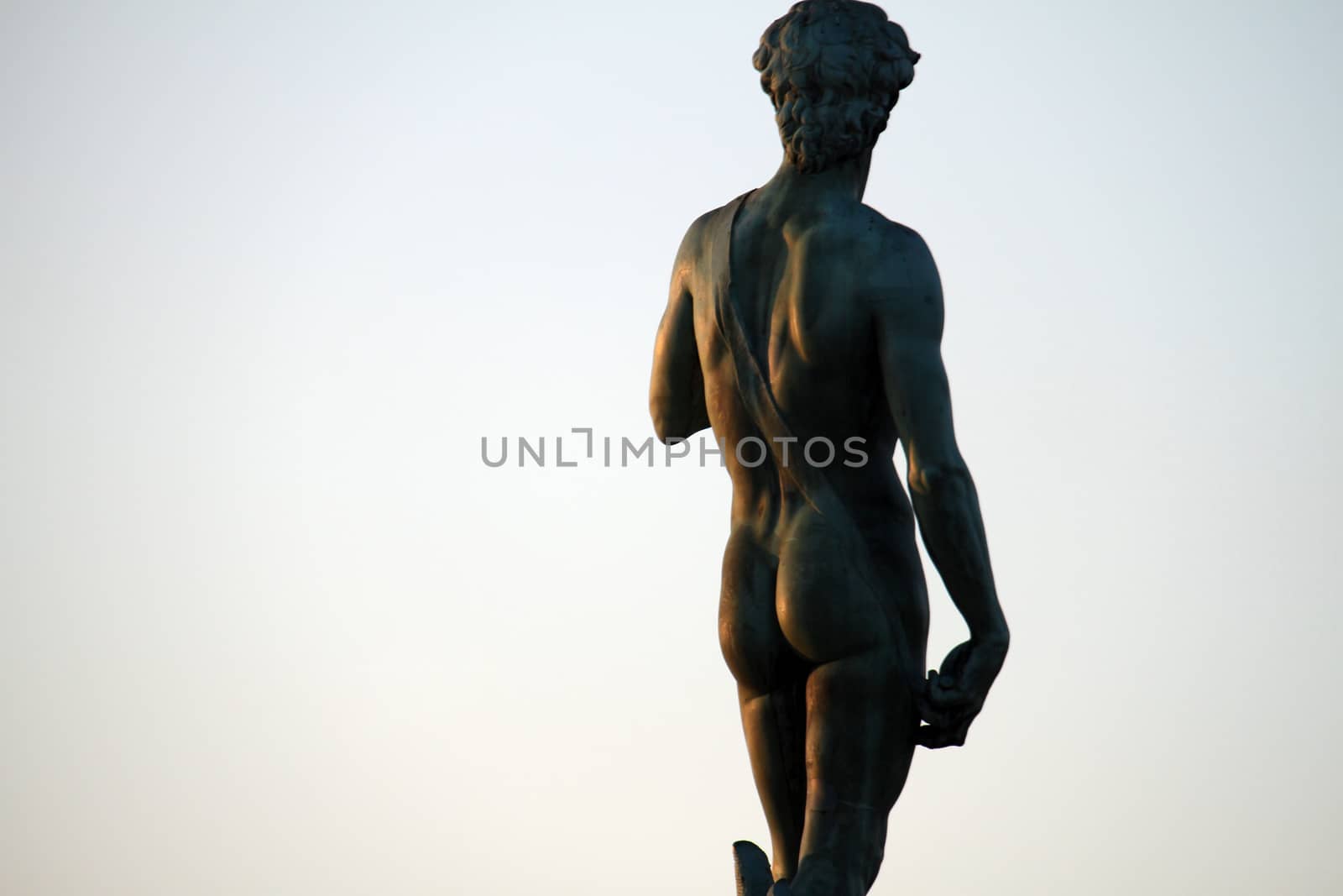 David statue by Michaelangelo in Florence