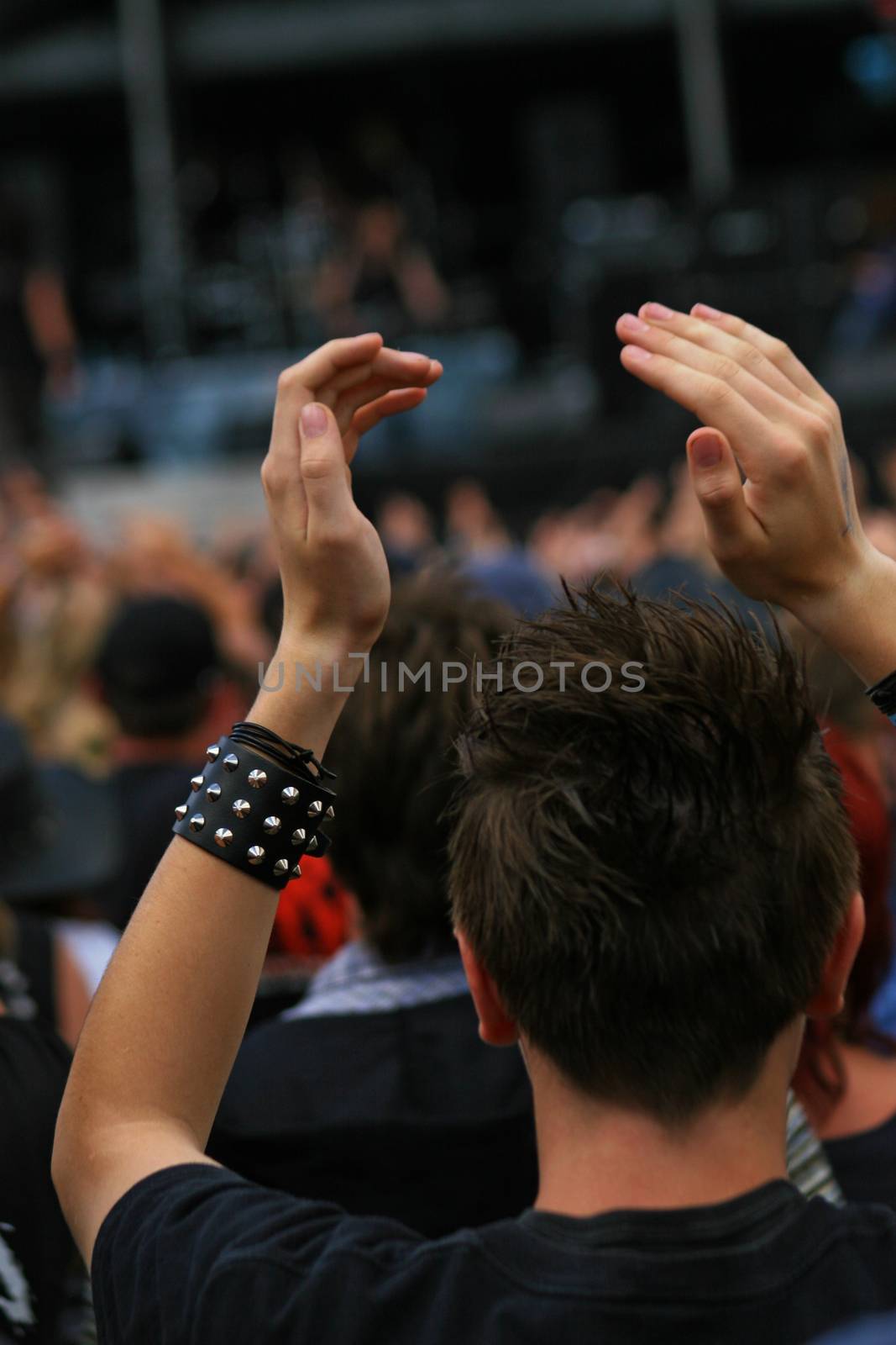 Fan at a rock concert