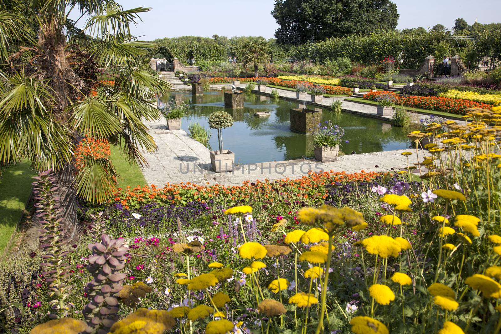 Flower garden in Hyde Park in London, with visitors in the background.