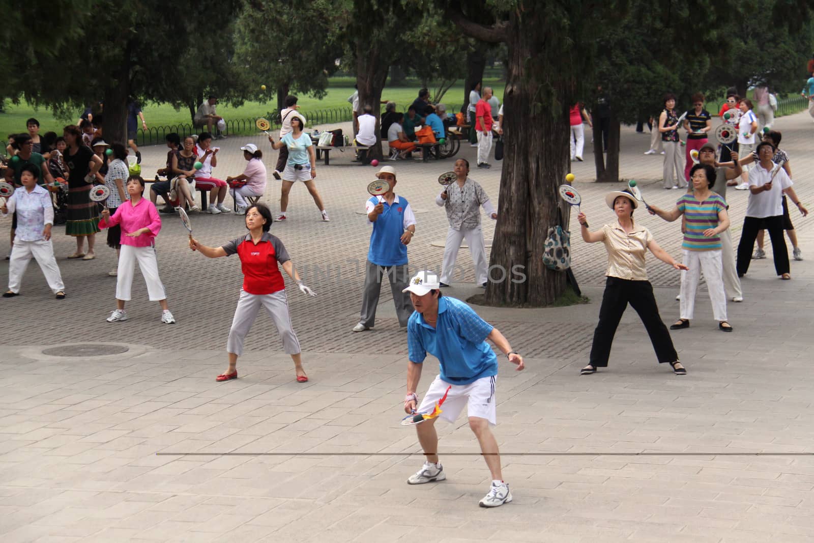 People recreating in a park by Aarstudio