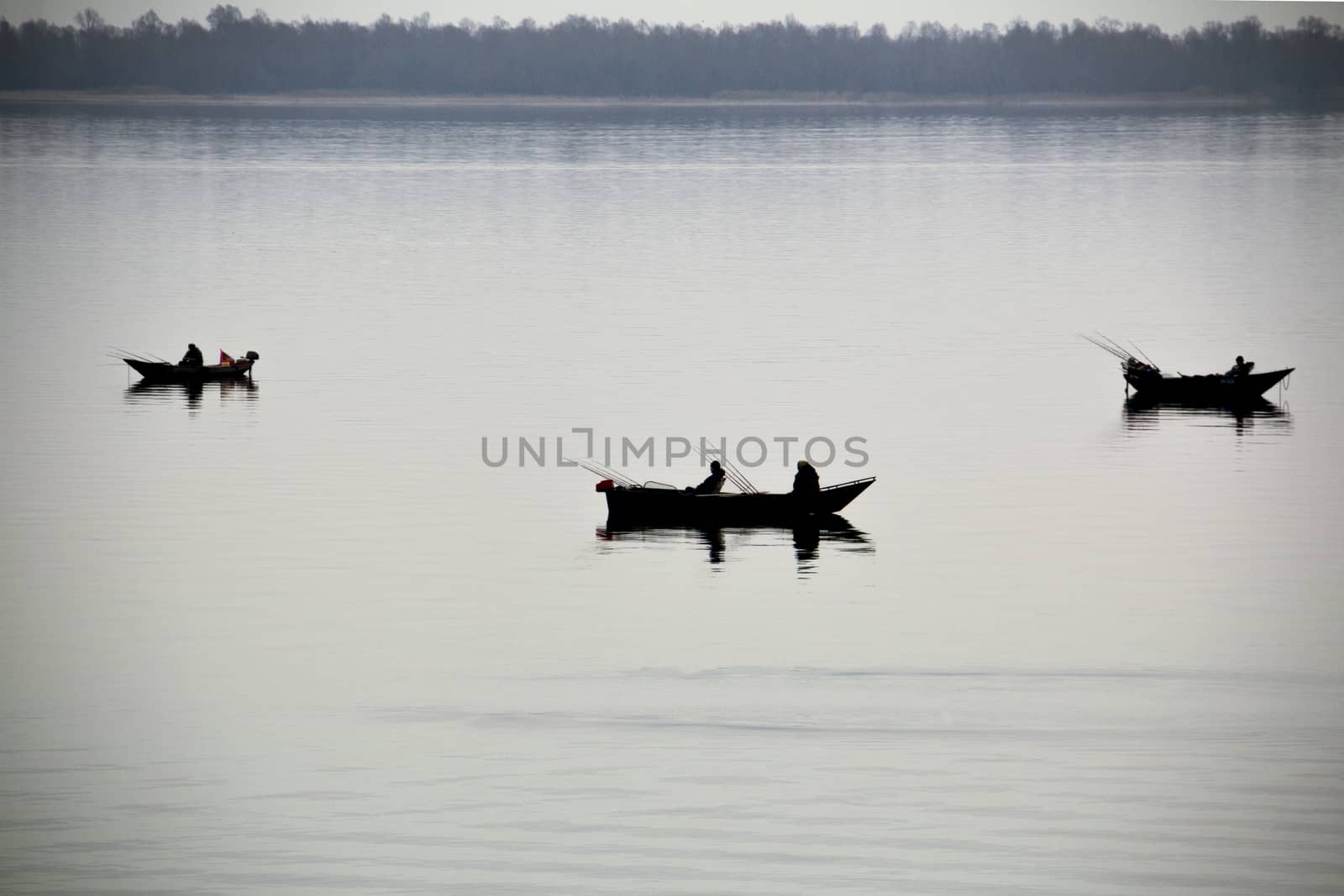 Fishing by Aarstudio