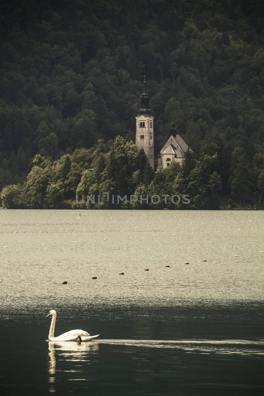 Island with a church on the Lake Bled in Slovenia