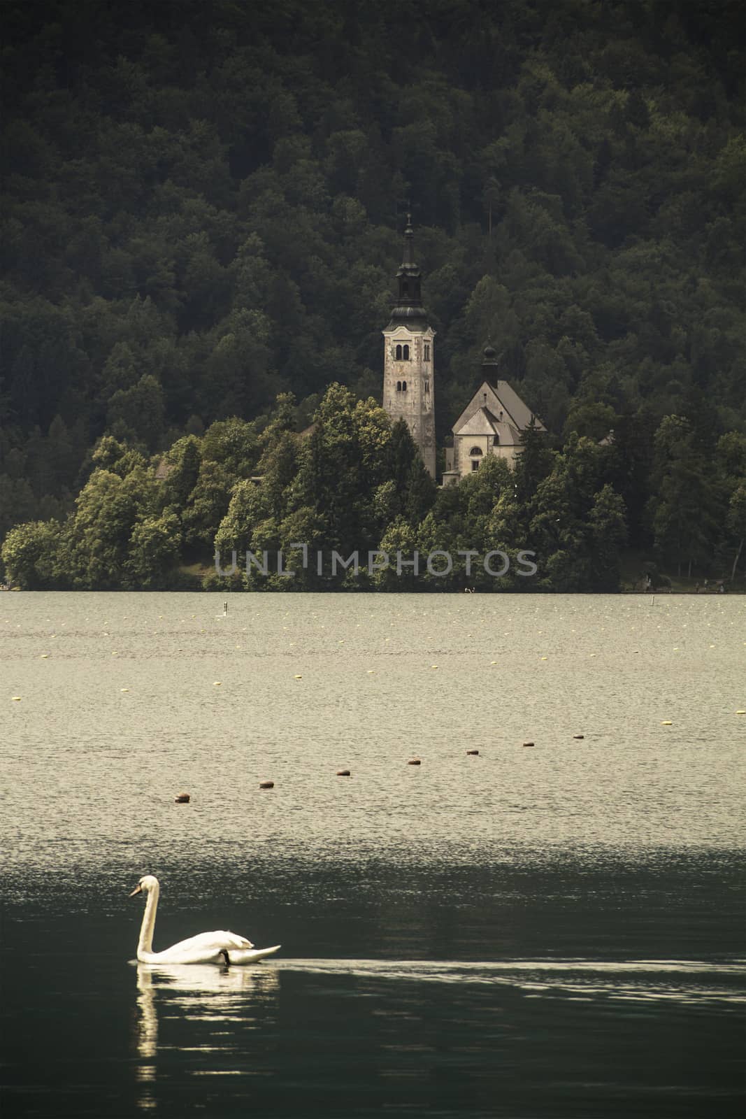 Bled island by Aarstudio