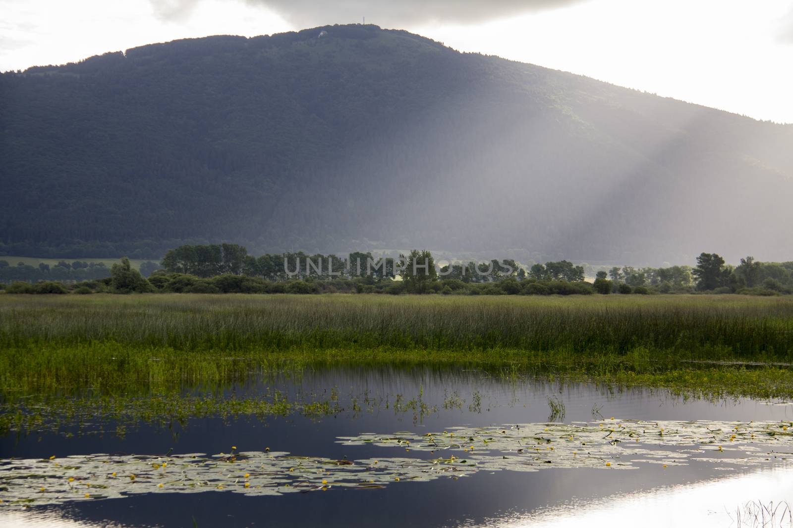 Beautiful lake at Cerknica - the only intermittent lake in Slovenia.