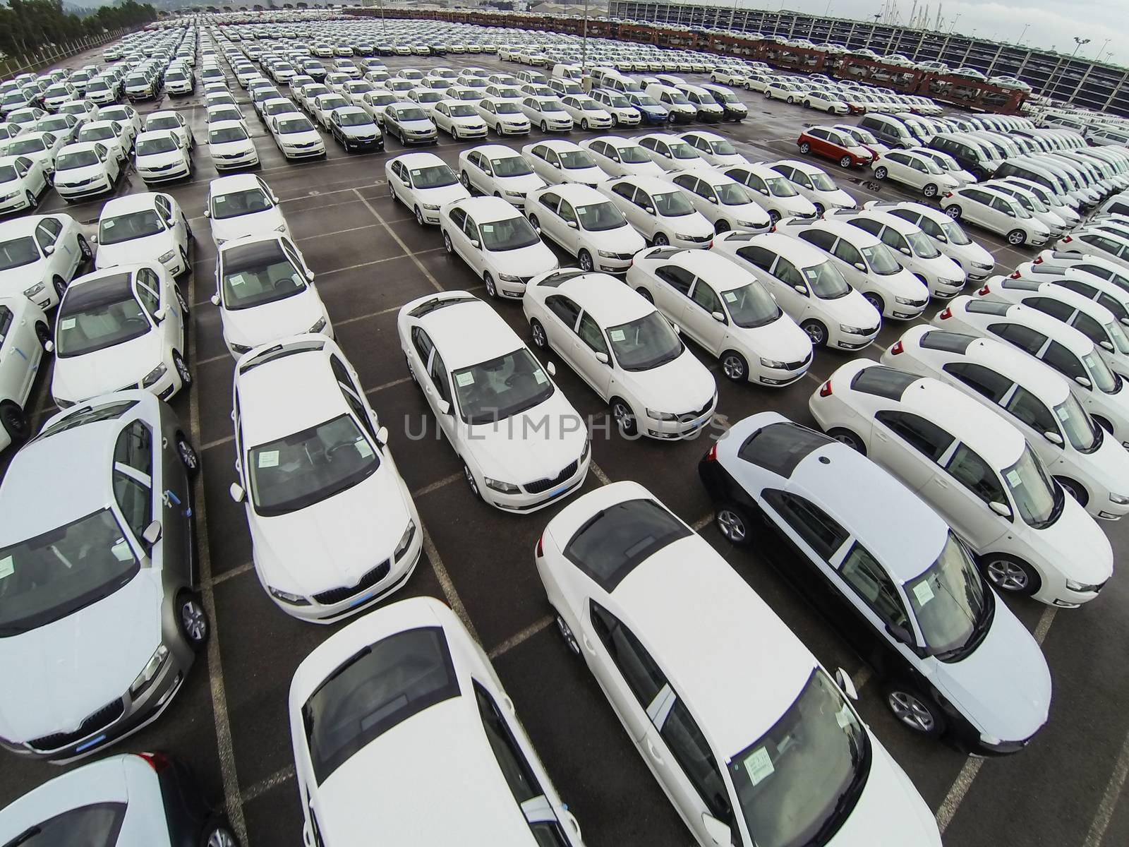 New cars in Koper port waiting for shiping.