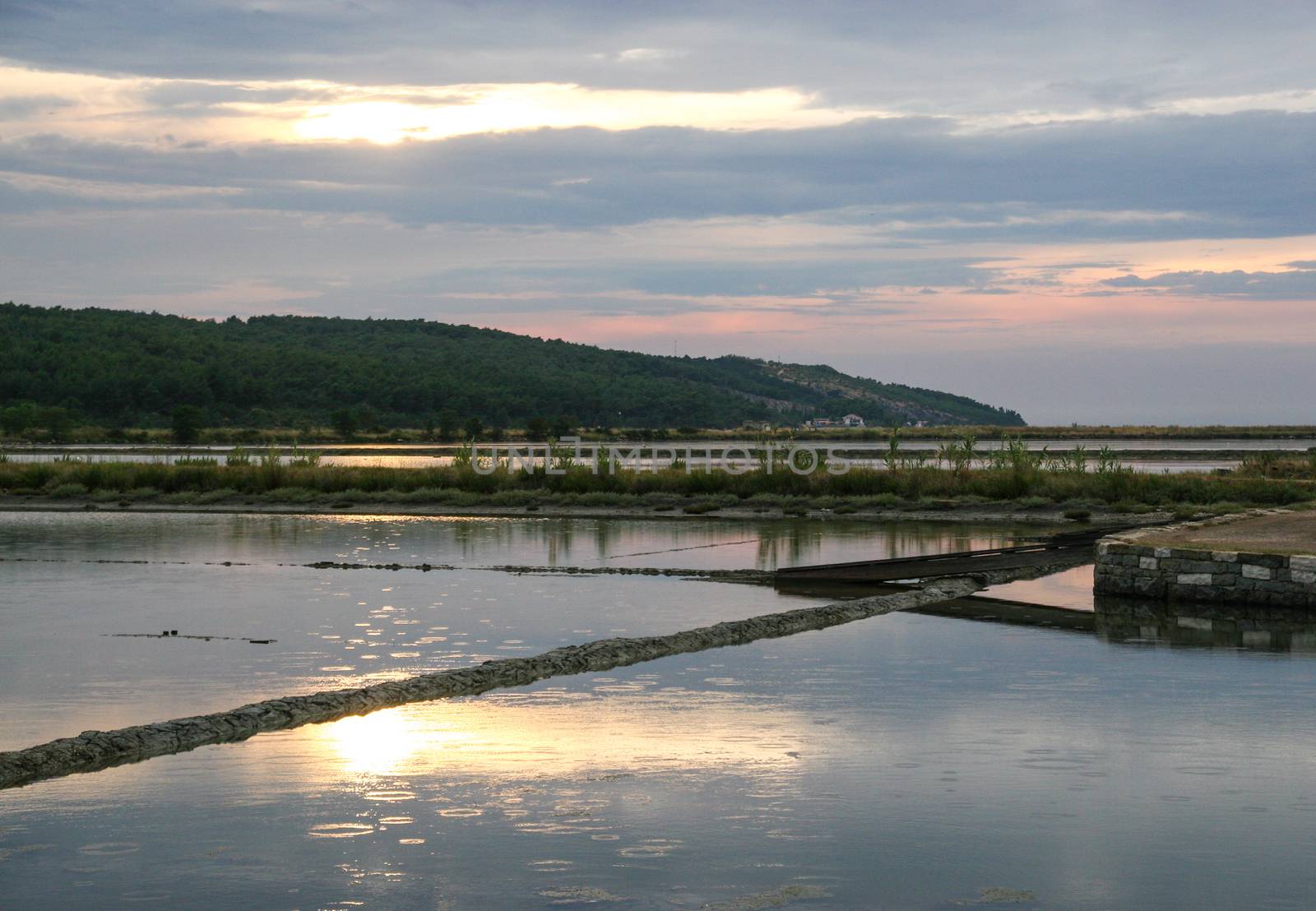 Saltpan in Secovlje in Slovenia