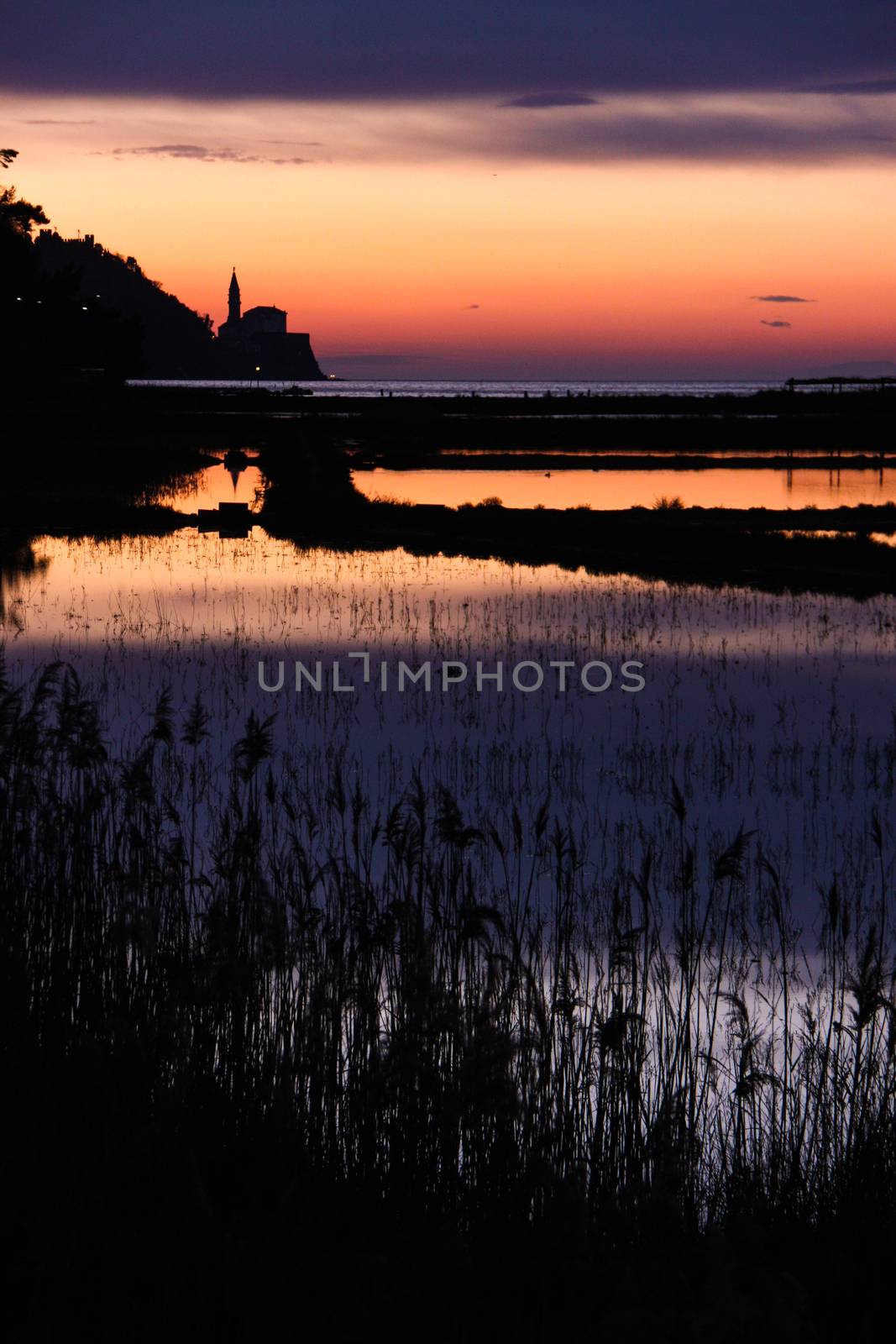 Sunset on saltpans with a church in the back (in Strunjan/Piran, Slovenia)