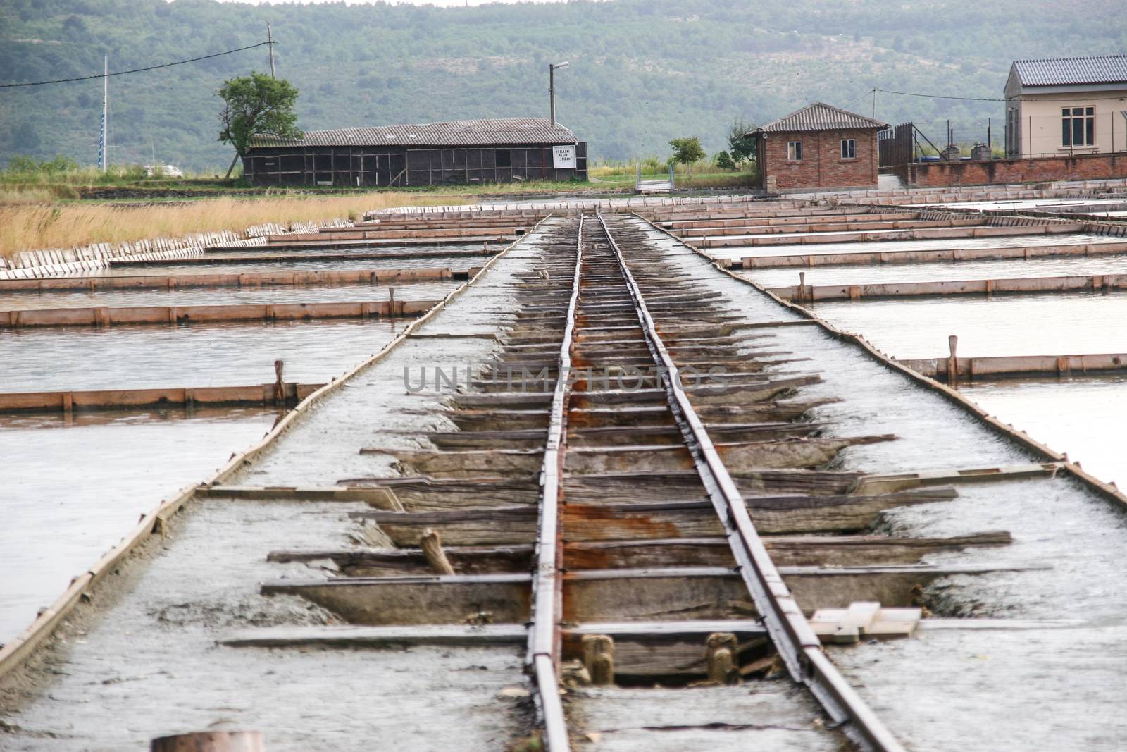 Saltpan in Secovlje in Slovenia