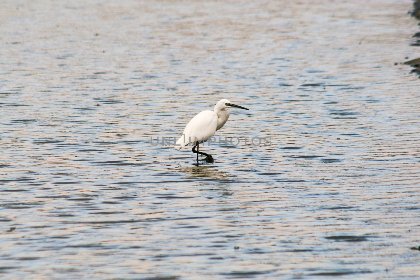 Secovlje saltpan by Aarstudio