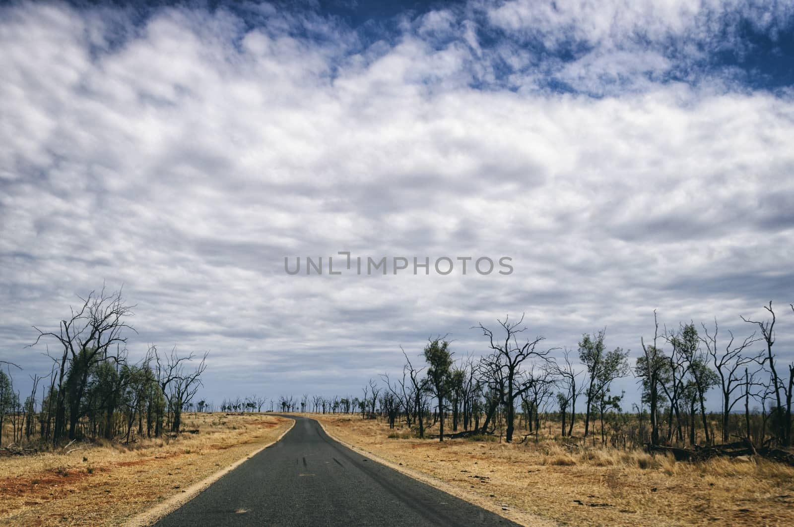 Road in Australia by patricklienin