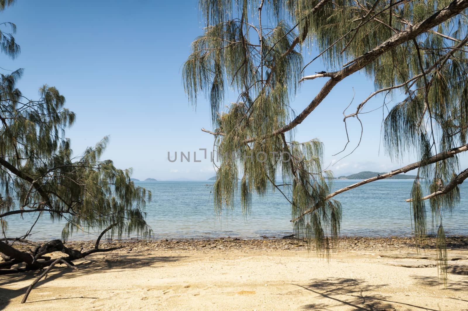 Tropical Beach, Australia by patricklienin