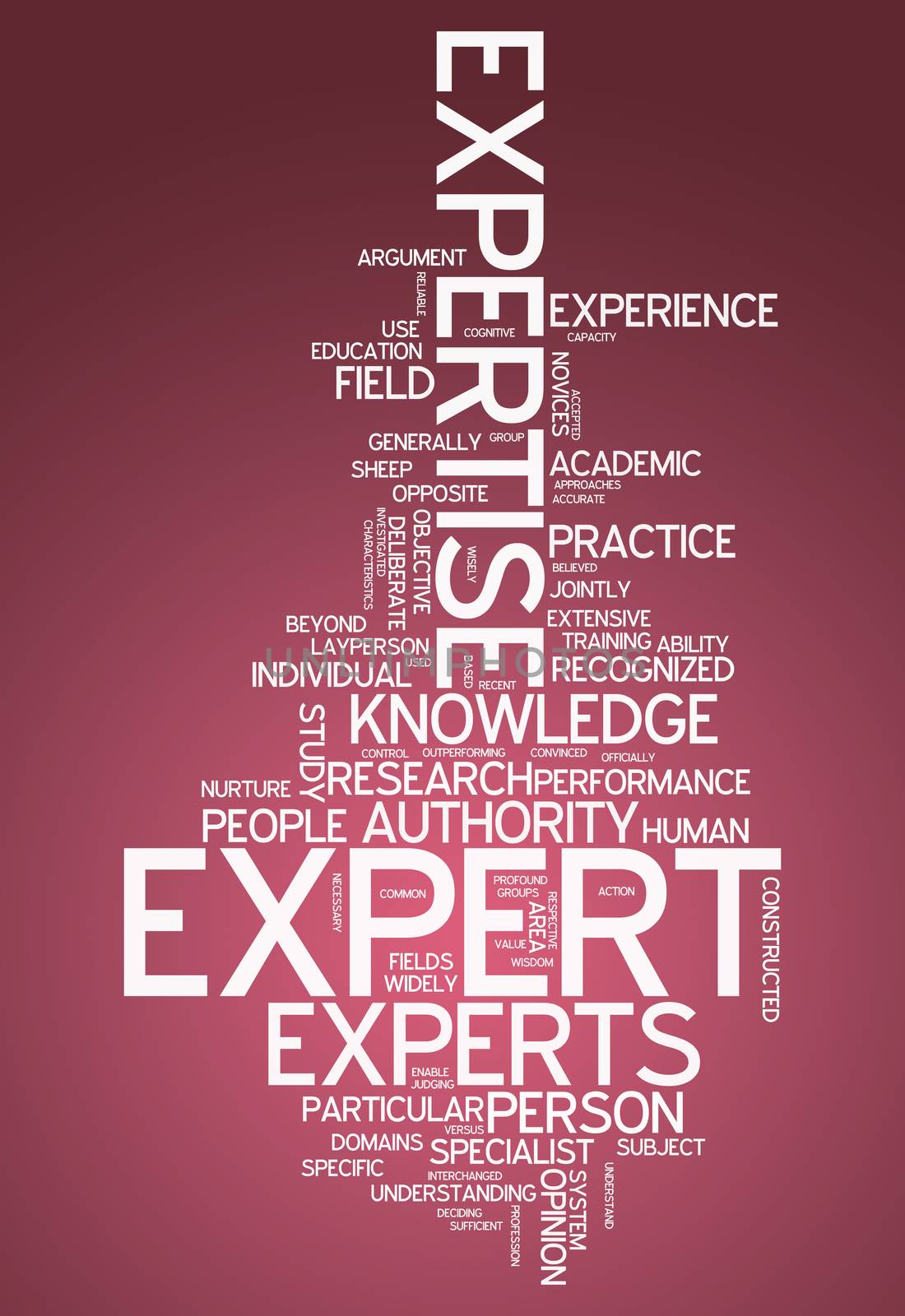 Word Cloud with Expert related tags