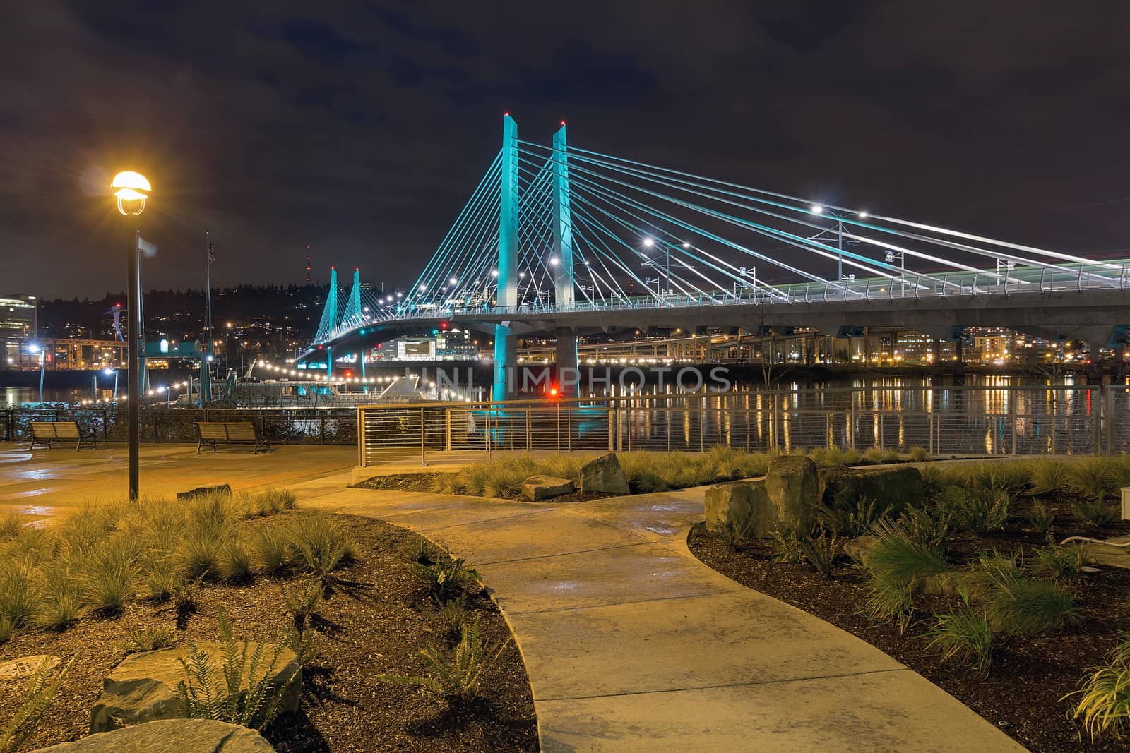 Tilikum Crossing Bridge Over Willamette River by the Waterfront Walkway in Portland Oregon at Night