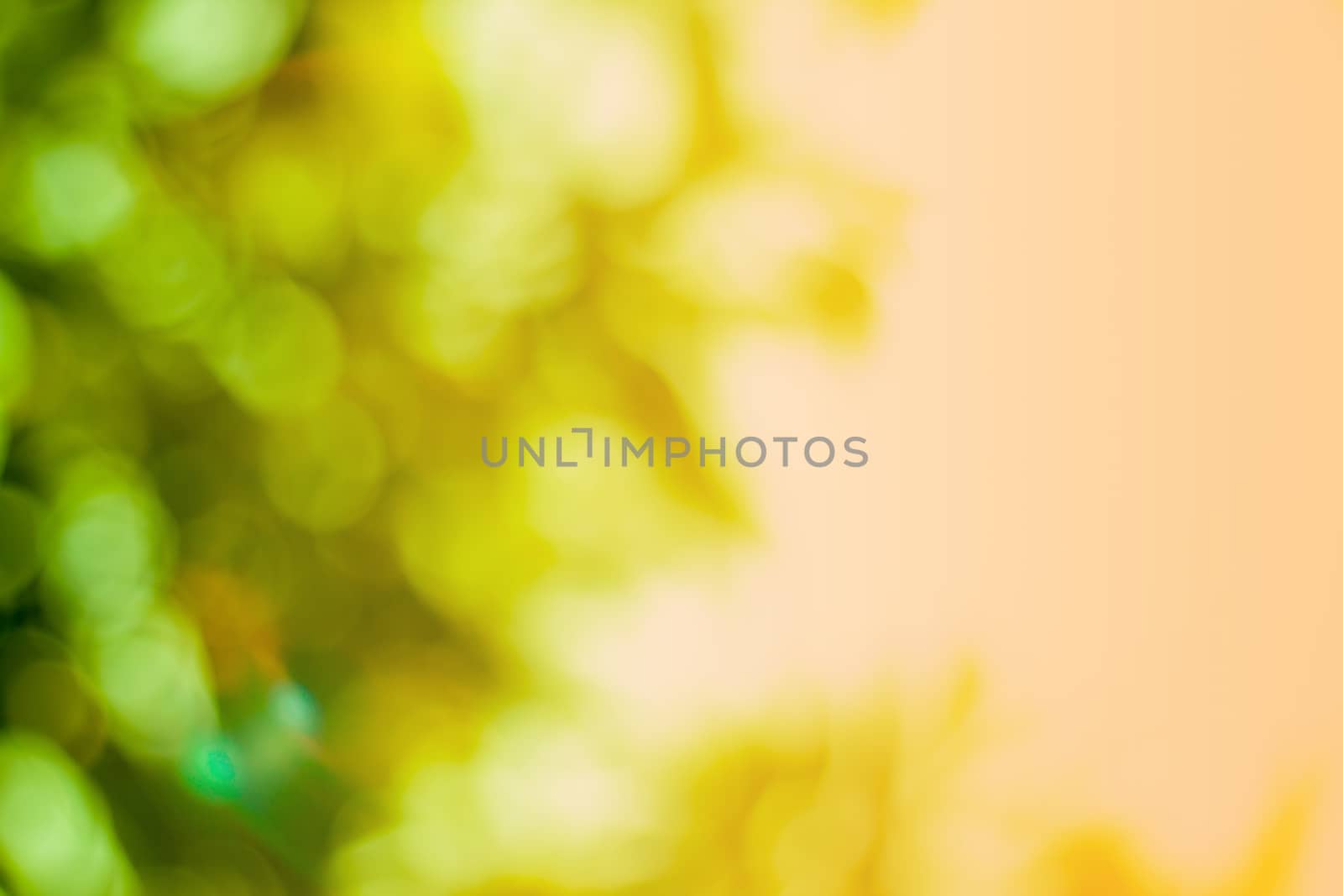 
light out of focus background blur green colored