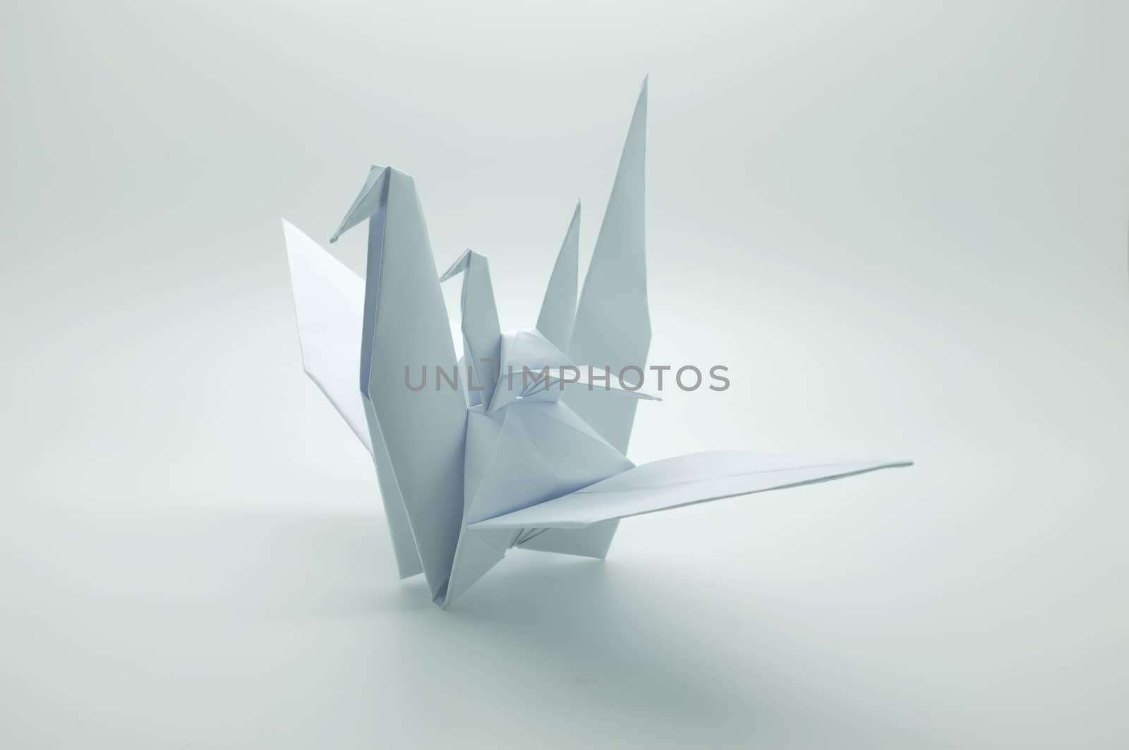 White origami crane, bird, paper by Hepjam