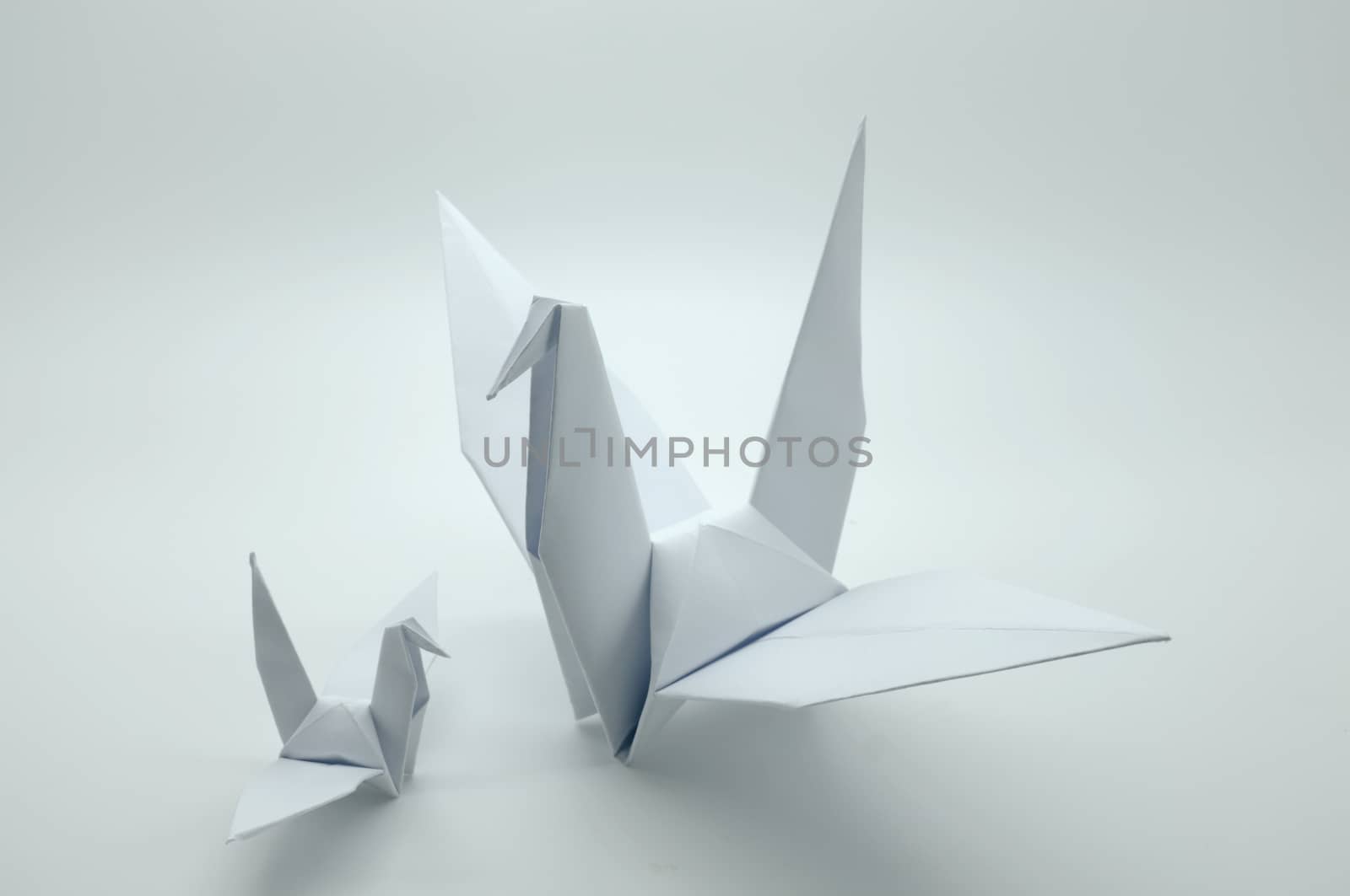 White origami crane, bird, paper