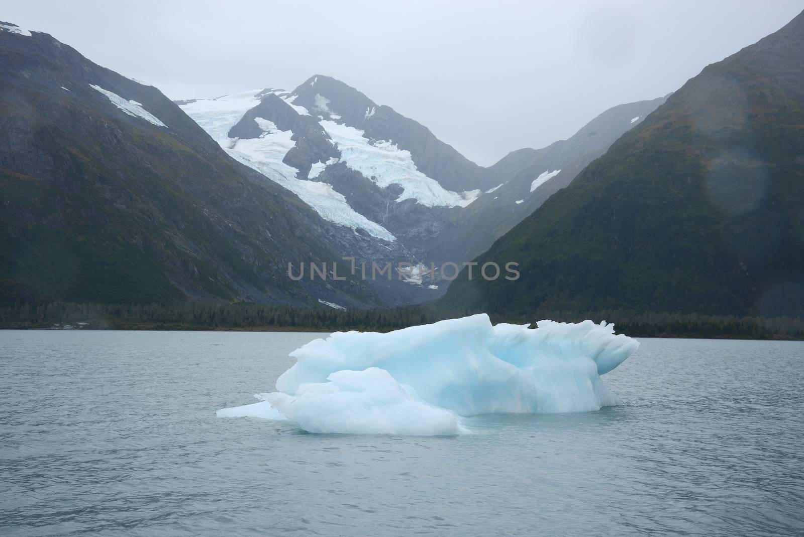 blue iceberg from portage glacier in alaska
