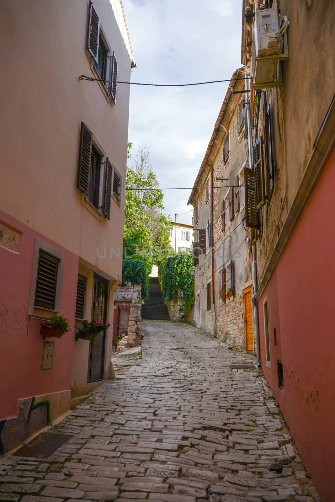 the old town in Rovinj Croatia Adriatis coast Europe